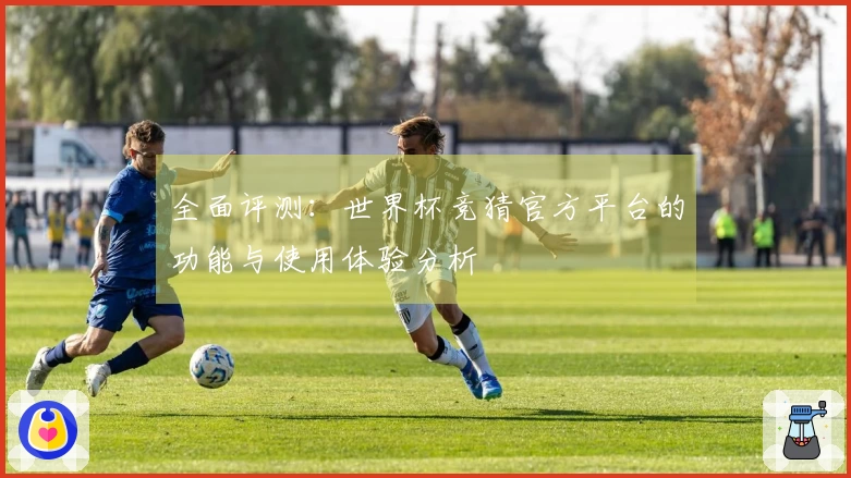全面评测：世界杯竞猜官方平台的功能与使用体验分析