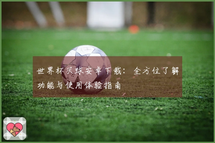 世界杯买球安卓下载：全方位了解功能与使用体验指南