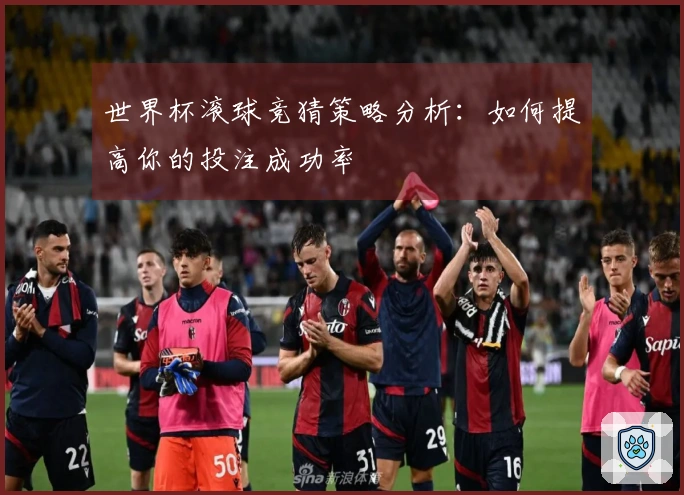 世界杯滚球竞猜策略分析：如何提高你的投注成功率
