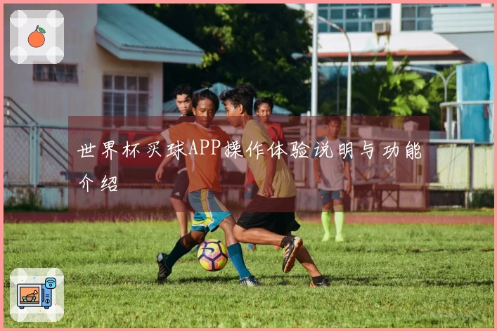 世界杯买球APP操作体验说明与功能介绍