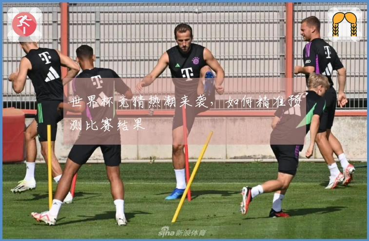 世界杯竞猜热潮来袭，如何精准预测比赛结果