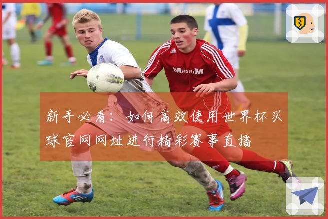 新手必看：如何高效使用世界杯买球官网网址进行精彩赛事直播