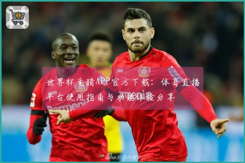 世界杯竞猜APP官方下载：体育直播平台使用指南与功能体验分享