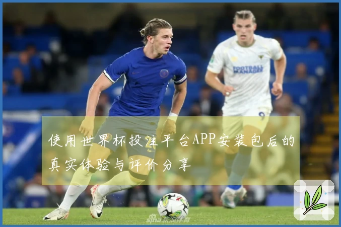 使用世界杯投注平台APP安装包后的真实体验与评价分享