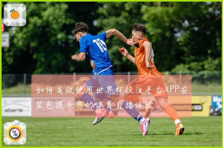 如何高效使用世界杯投注平台APP安装包提升您的体育直播体验