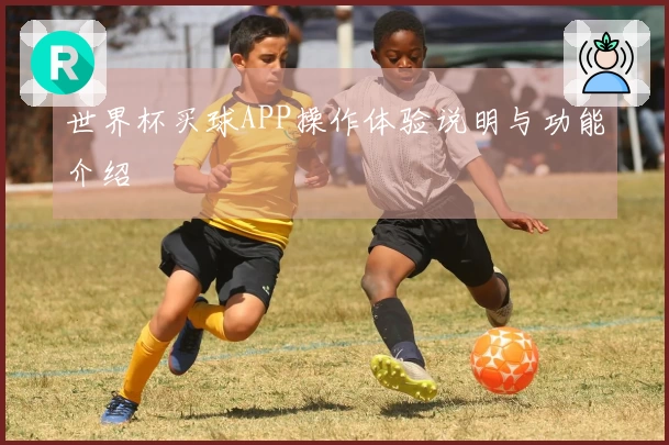 世界杯买球APP操作体验说明与功能介绍