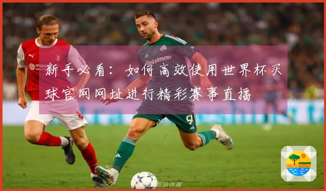 新手必看：如何高效使用世界杯买球官网网址进行精彩赛事直播